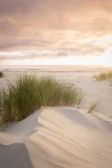 Fotobehang Duinen native grasses on sandy beach at sunrise   © Amanda