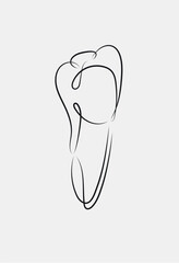 Healthy tooth in linear style drawing on white background