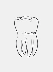 Chewing tooth in linear style drawing on white background