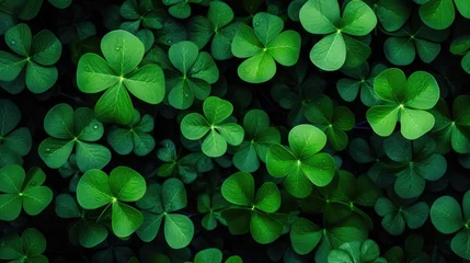 Foto op Plexiglas Fresh green clover leaves as background. St. Patricks Day © brillianata