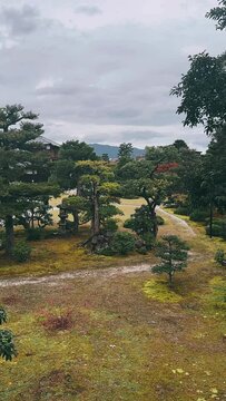landscape in the mountains,nature, landscape, sky, tree, forest, road, path, mountain, grass, summer, trees, green, clouds, park, water, hill, travel, mountains, rural, country, rock, spring, lake, fi