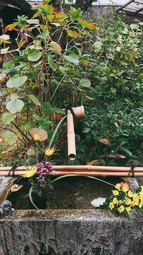 garden,flower, nature, plant, garden, red, flowers, blossom, summer, beauty, leaf, flora, orange, pink, bloom, dahlia, floral, beautiful, petal, spring, color, yellow, gardening, closeup, leaves, tree