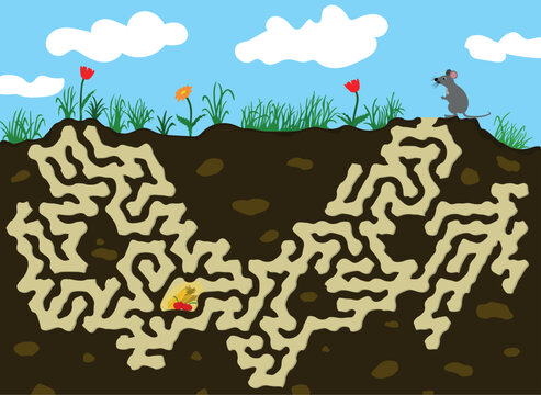 Help little mouse find a food - ears of wheat and berries underground. Vector colorful picture with mouse, labyrinth under the field with flowers and grass. Maze game for childrens