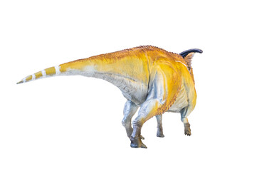 Parasaurolophus  dinosaur isolated background