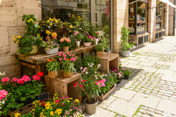 Fototapeta na wymiar Pots with beautiful flowers on street market