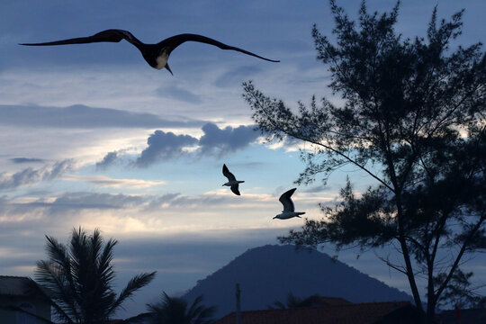 Um lindo Amanhecer em Cordeirinho com gaivotas e um fragata sobrevoando o lindo céu de Maricá - RJ