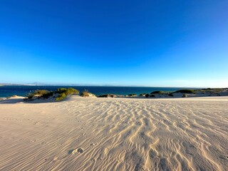dunes from Valdevaqueros at the coast of the Atlantic Ocean at the evening with a stunning towards...