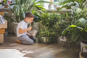 A child in home clothes waters indoor plants from a beautiful stylish metal watering can. 