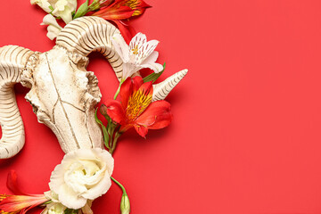 Skull of sheep with beautiful flowers on red background