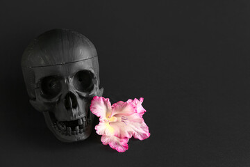 Human skull with beautiful lily flower on black background