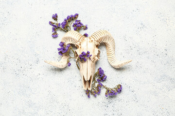 Skull of sheep with beautiful flowers on white background