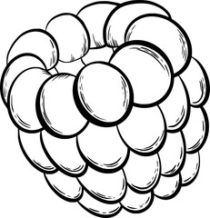 Raspberry for decorating confectionery products in graphic style. Vector illustration. Hand drawn in a simple minimalist style. Can be used for kitchen, notes, cookbook, textile.