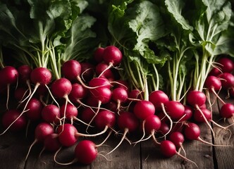 freshly picked organic radishes from the field on a wooden surface

