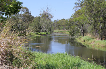 Fototapeta na wymiar Creek of water, grass, trees at Police Creek in Gladstone, Queensland, Australia