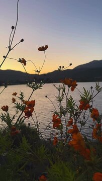 sunset on the lake, flowers, sunset, silhouette, sun, sky, people, sunrise, nature, mountain, running, tree, landscape, hill, orange, person, dusk, beach, travel, evening, woman, desert, fitness, summ