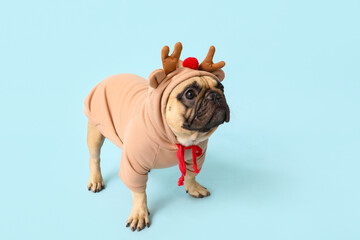 Cute pug dog in Christmas costume on blue background
