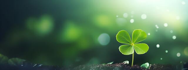 A four-leaf clover sprout, a symbol of good luck and hope, emerges from the rich soil, bathed in soft sunlight. Its vibrant green leaves stand out against a bokeh background. Space for text