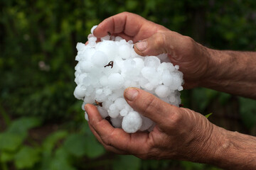 Close-Up: Man's Hand Reveals Quantity of Hailstones Fallen on His Garden. Nature's Impact Captured in the Palms of Resilience