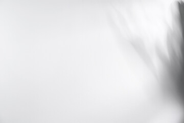 Light and shadows on white wall, space for text