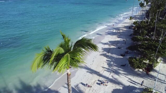 Ujęcie z drona na palmę na tle egzotycznej plaży na kt&oacute;rej jest turkusowy ocean z falami- ujęcie z g&oacute;ry.