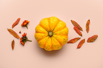Fresh pumpkin with autumn leaves and beautiful flowers on light background