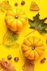 Fresh pumpkins with autumn leaves and acorns on yellow background