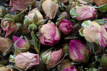 A close up image of several dried tiny white and pink miniature tea roses close together to create a delicate background.