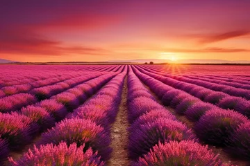 Foto auf Glas Lavender flowers blooming fields at sunset. generative ai. © SEUNGJIN
