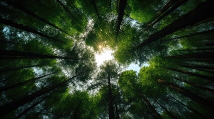 Forest full of trees, shot from below in a circle, AI generated Image