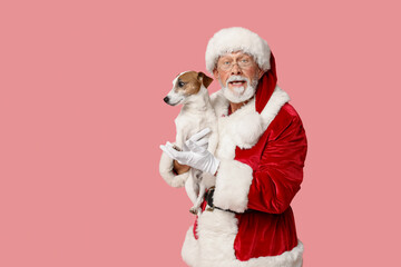 Santa Claus with cute Jack Russell Terrier dog on pink background