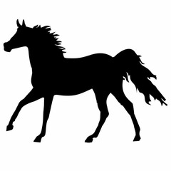 silhouette of a standing horse in black