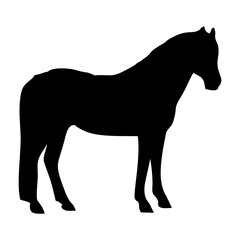 silhouette of a standing horse in black
