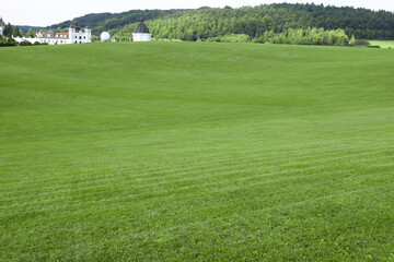 Fototapeta premium Beautiful view of lawn with green grass, buildings and trees outdoors