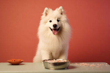 a dog sitting at a table with a bowl of food