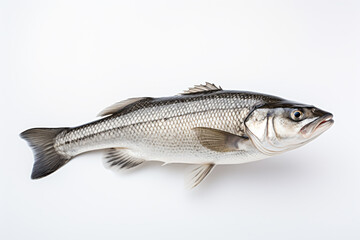 Fototapeta premium a fish that is standing up on a white surface