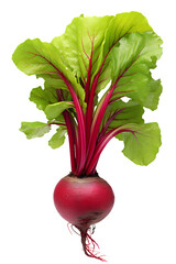 Beetroot on a transparent background