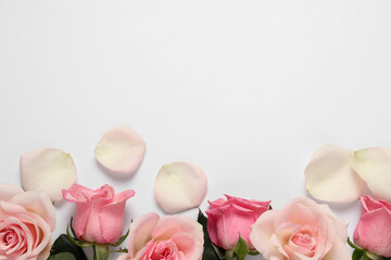 Beautiful roses and petals on white background, top view. Space for text