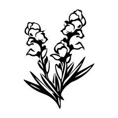 snapdragon flower botanical illustration, Meadow plant vector illustration, Generative AI.