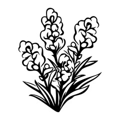 snapdragon flower botanical illustration, Meadow plant vector illustration, Generative AI.