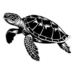 Turtle marine animal icon. Sea turtle silhouette. vector illustration