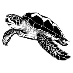 Turtle marine animal icon. Sea turtle silhouette. vector illustration