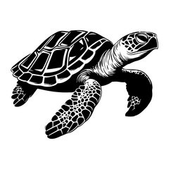 Turtle marine animal icon. Sea turtle silhouette. vector illustration