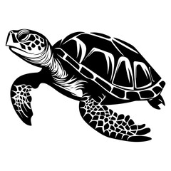 Turtle marine animal icon. Sea turtle silhouette. vector illustration