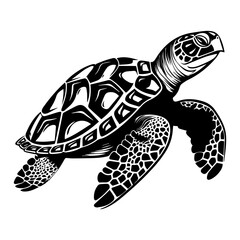 Turtle marine animal icon. Sea turtle silhouette. vector illustration