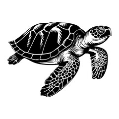 Turtle marine animal icon. Sea turtle silhouette. vector illustration