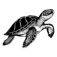 Turtle marine animal icon. Sea turtle silhouette. vector illustration