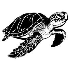 Turtle marine animal icon. Sea turtle silhouette. vector illustration