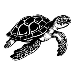 Turtle marine animal icon. Sea turtle silhouette. vector illustration