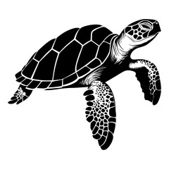 Turtle marine animal icon. Sea turtle silhouette. vector illustration