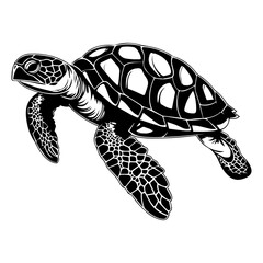 Obraz premium Turtle marine animal icon. Sea turtle silhouette. vector illustration